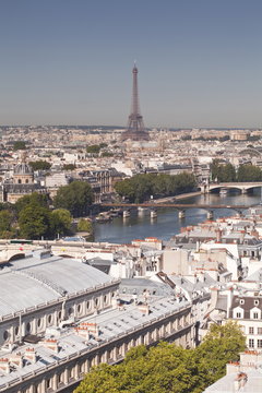 Looking over the rooftops of Paris to the Eiffel Tower, Paris, France