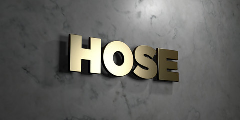 Hose - Gold sign mounted on glossy marble wall  - 3D rendered royalty free stock illustration. This image can be used for an online website banner ad or a print postcard.