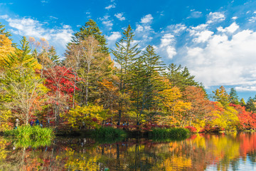 Autumn colours pond