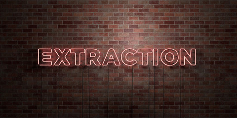 EXTRACTION - fluorescent Neon tube Sign on brickwork - Front view - 3D rendered royalty free stock picture. Can be used for online banner ads and direct mailers..