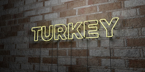 Fototapeta na wymiar TURKEY - Glowing Neon Sign on stonework wall - 3D rendered royalty free stock illustration. Can be used for online banner ads and direct mailers..