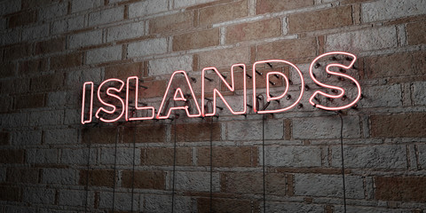 ISLANDS - Glowing Neon Sign on stonework wall - 3D rendered royalty free stock illustration.  Can be used for online banner ads and direct mailers..