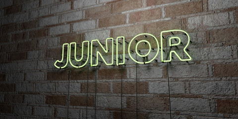 JUNIOR - Glowing Neon Sign on stonework wall - 3D rendered royalty free stock illustration.  Can be used for online banner ads and direct mailers..