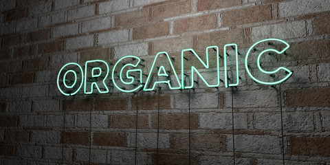 ORGANIC - Glowing Neon Sign on stonework wall - 3D rendered royalty free stock illustration.  Can be used for online banner ads and direct mailers..
