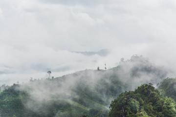 Naklejka na ściany i meble landscape of mountain and fog , Krabi ,Thailand