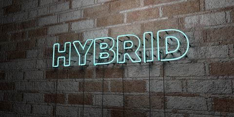 HYBRID - Glowing Neon Sign on stonework wall - 3D rendered royalty free stock illustration.  Can be used for online banner ads and direct mailers..