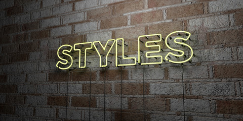 Fototapeta na wymiar STYLES - Glowing Neon Sign on stonework wall - 3D rendered royalty free stock illustration. Can be used for online banner ads and direct mailers..