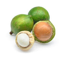 fresh macadamia isolated on white background