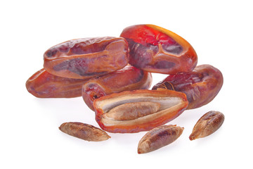 date palm isolated on white background