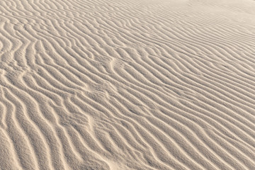 Desert sand texture background