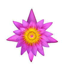 Lotus flower isolated on white background