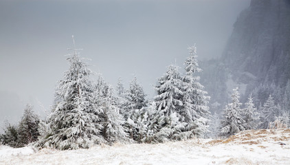 amazing winter sunrise through fog in the mountains
