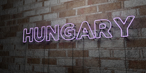 HUNGARY - Glowing Neon Sign on stonework wall - 3D rendered royalty free stock illustration.  Can be used for online banner ads and direct mailers..