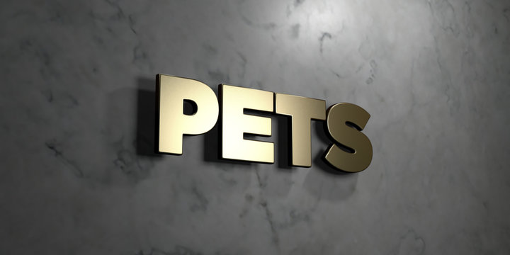 Pets - Gold sign mounted on glossy marble wall  - 3D rendered royalty free stock illustration. This image can be used for an online website banner ad or a print postcard.