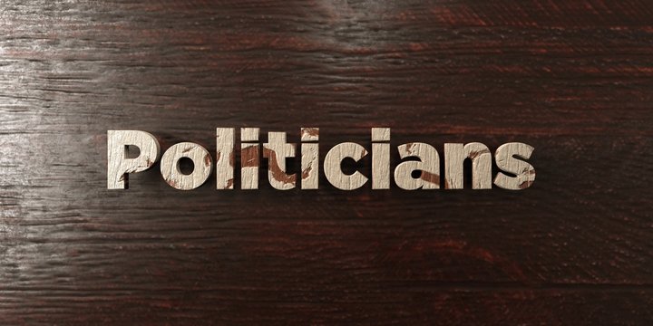 Politicians - grungy wooden headline on Maple  - 3D rendered royalty free stock image. This image can be used for an online website banner ad or a print postcard.