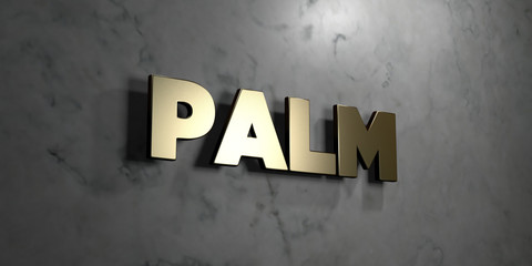 Palm - Gold sign mounted on glossy marble wall  - 3D rendered royalty free stock illustration. This image can be used for an online website banner ad or a print postcard.