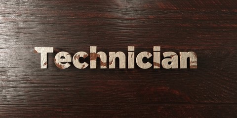 Technician - grungy wooden headline on Maple  - 3D rendered royalty free stock image. This image can be used for an online website banner ad or a print postcard.