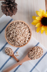 pearls barley grain seed on background.