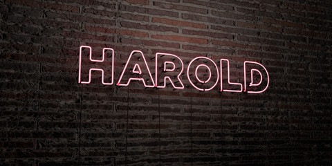 HAROLD -Realistic Neon Sign on Brick Wall background - 3D rendered royalty free stock image. Can be used for online banner ads and direct mailers..