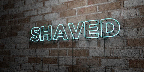 SHAVED - Glowing Neon Sign on stonework wall - 3D rendered royalty free stock illustration.  Can be used for online banner ads and direct mailers..