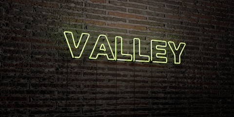 VALLEY -Realistic Neon Sign on Brick Wall background - 3D rendered royalty free stock image. Can be used for online banner ads and direct mailers..