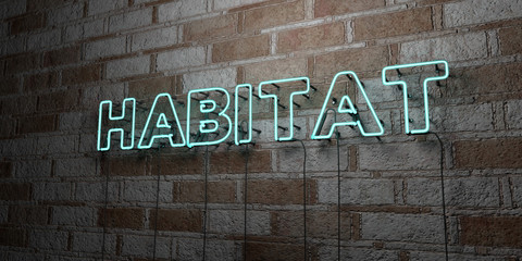 HABITAT - Glowing Neon Sign on stonework wall - 3D rendered royalty free stock illustration.  Can be used for online banner ads and direct mailers..