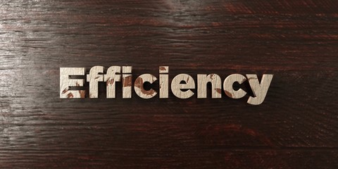 Efficiency - grungy wooden headline on Maple  - 3D rendered royalty free stock image. This image can be used for an online website banner ad or a print postcard.