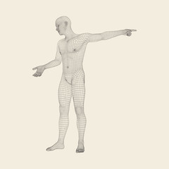 Man Pointing his Finger. 3D Model of Man. Geometric Design.