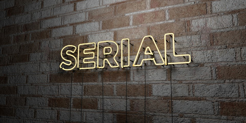 Fototapeta na wymiar SERIAL - Glowing Neon Sign on stonework wall - 3D rendered royalty free stock illustration. Can be used for online banner ads and direct mailers..