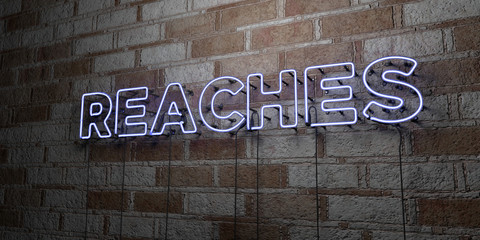 REACHES - Glowing Neon Sign on stonework wall - 3D rendered royalty free stock illustration.  Can be used for online banner ads and direct mailers..