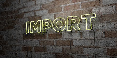 Fototapeta na wymiar IMPORT - Glowing Neon Sign on stonework wall - 3D rendered royalty free stock illustration. Can be used for online banner ads and direct mailers..