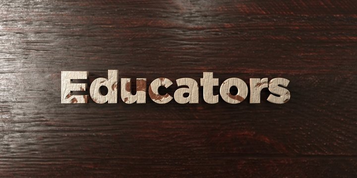 Educators - grungy wooden headline on Maple  - 3D rendered royalty free stock image. This image can be used for an online website banner ad or a print postcard.