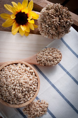 pearls barley grain seed on background.
