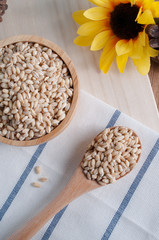 pearls barley grain seed on background.