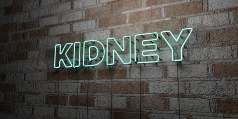KIDNEY - Glowing Neon Sign on stonework wall - 3D rendered royalty free stock illustration.  Can be used for online banner ads and direct mailers..