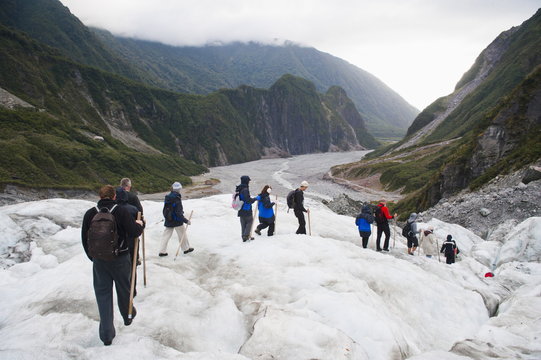 Tourists walking on Fox Glacier, Westland National Park, South Island, New Zealand 