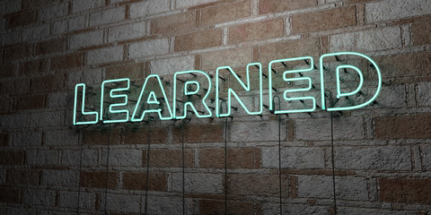 LEARNED - Glowing Neon Sign on stonework wall - 3D rendered royalty free stock illustration.  Can be used for online banner ads and direct mailers..