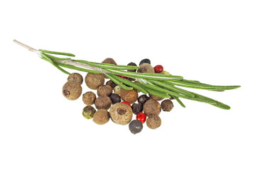 Rosemary and peppercorns on a white background, closeup