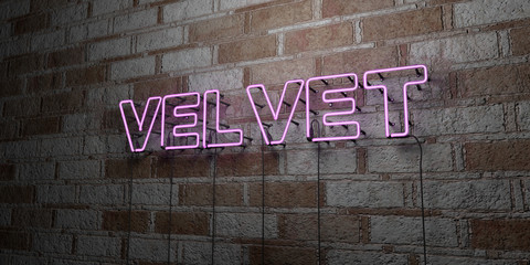 VELVET - Glowing Neon Sign on stonework wall - 3D rendered royalty free stock illustration.  Can be used for online banner ads and direct mailers..