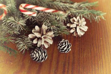branches of a pine cone Christmas