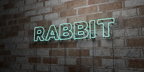 RABBIT - Glowing Neon Sign on stonework wall - 3D rendered royalty free stock illustration.  Can be used for online banner ads and direct mailers..
