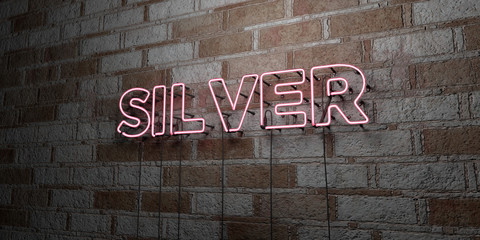 SILVER - Glowing Neon Sign on stonework wall - 3D rendered royalty free stock illustration.  Can be used for online banner ads and direct mailers..