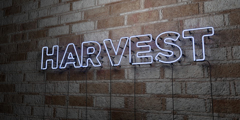 HARVEST - Glowing Neon Sign on stonework wall - 3D rendered royalty free stock illustration.  Can be used for online banner ads and direct mailers..