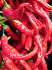 Background of the red chili peppers closeup view