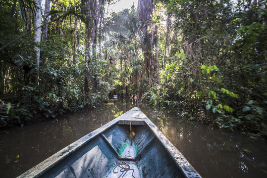 Canoe boat trip in Amazon Jungle of Peru, by Sandoval Lake in Tambopata National Reserve, Peru