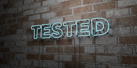Fototapeta na wymiar TESTED - Glowing Neon Sign on stonework wall - 3D rendered royalty free stock illustration. Can be used for online banner ads and direct mailers..