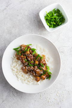 teriyaki chicken with rice, served with sesame seeds and chopped