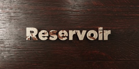 Fototapeta premium Reservoir - grungy wooden headline on Maple - 3D rendered royalty free stock image. This image can be used for an online website banner ad or a print postcard.