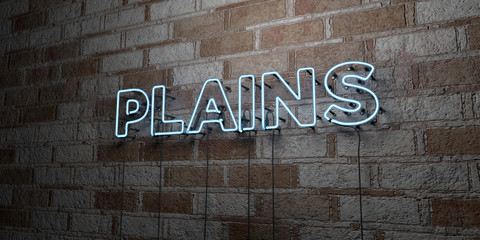 PLAINS - Glowing Neon Sign on stonework wall - 3D rendered royalty free stock illustration.  Can be used for online banner ads and direct mailers..