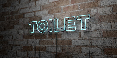 Fototapeta na wymiar TOILET - Glowing Neon Sign on stonework wall - 3D rendered royalty free stock illustration. Can be used for online banner ads and direct mailers..